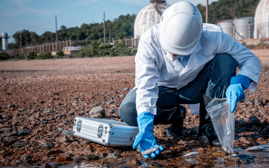 High Radiant Power LEDs: Why Output Matters in Optical Systems